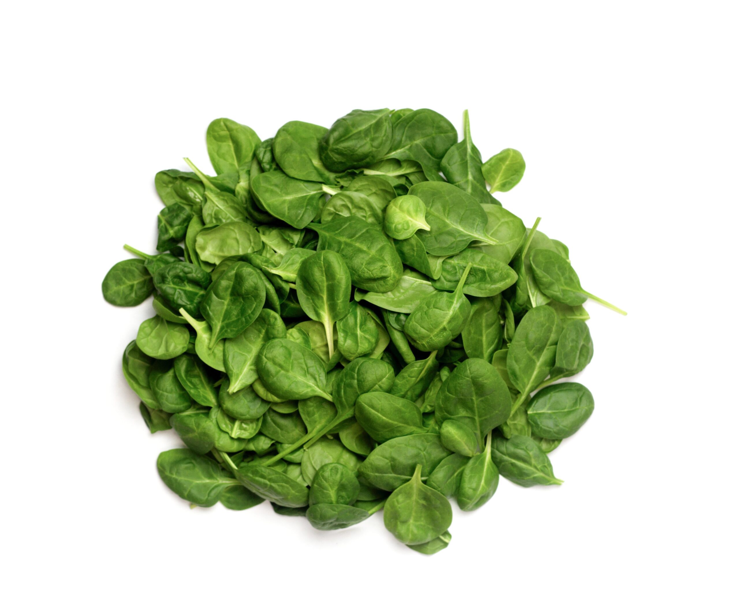 bunch of fresh green spinach on white isolated. Top view
