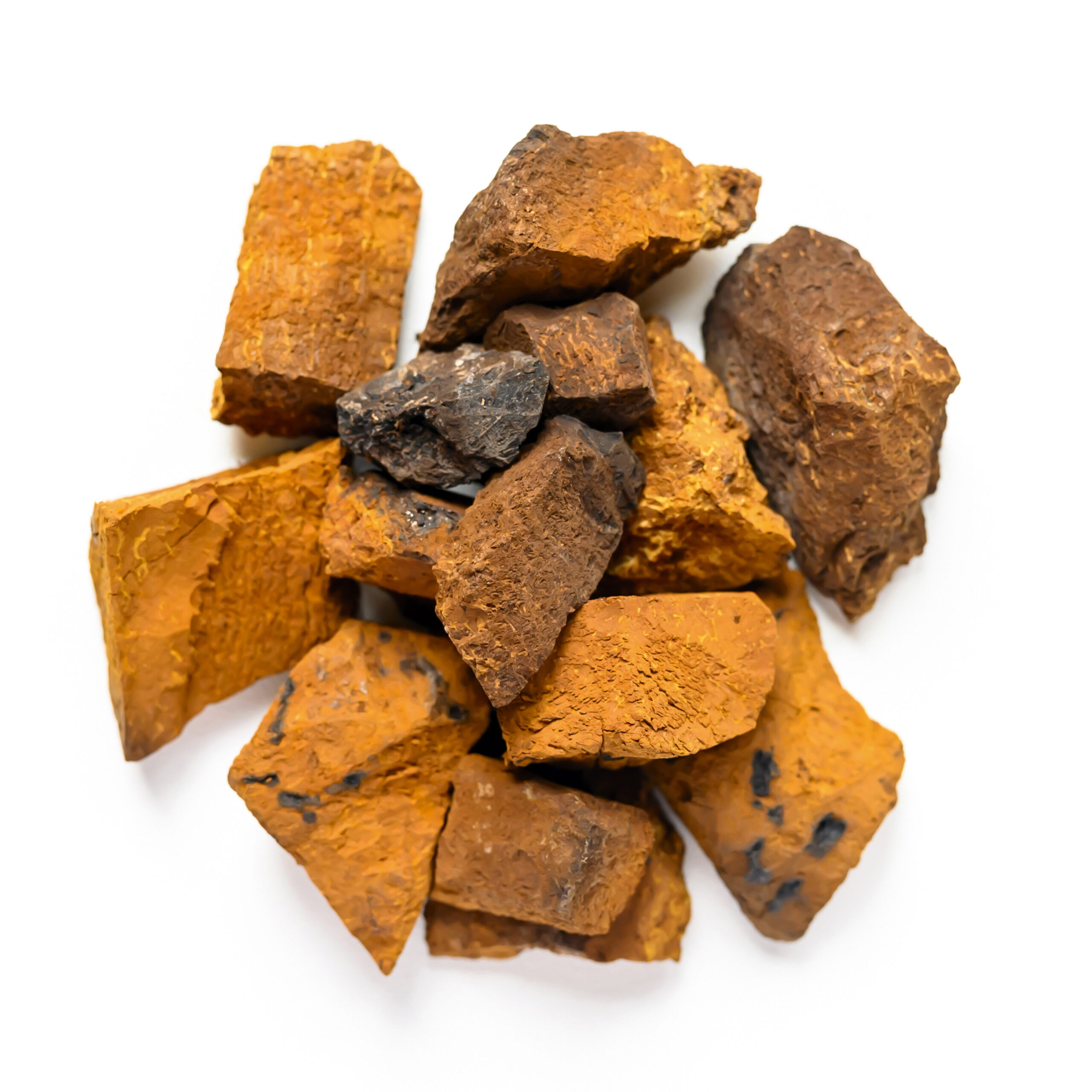 chaga mushroom. a pile of large pieces natural wild birch fungus chaga isolated on white background. top view.square