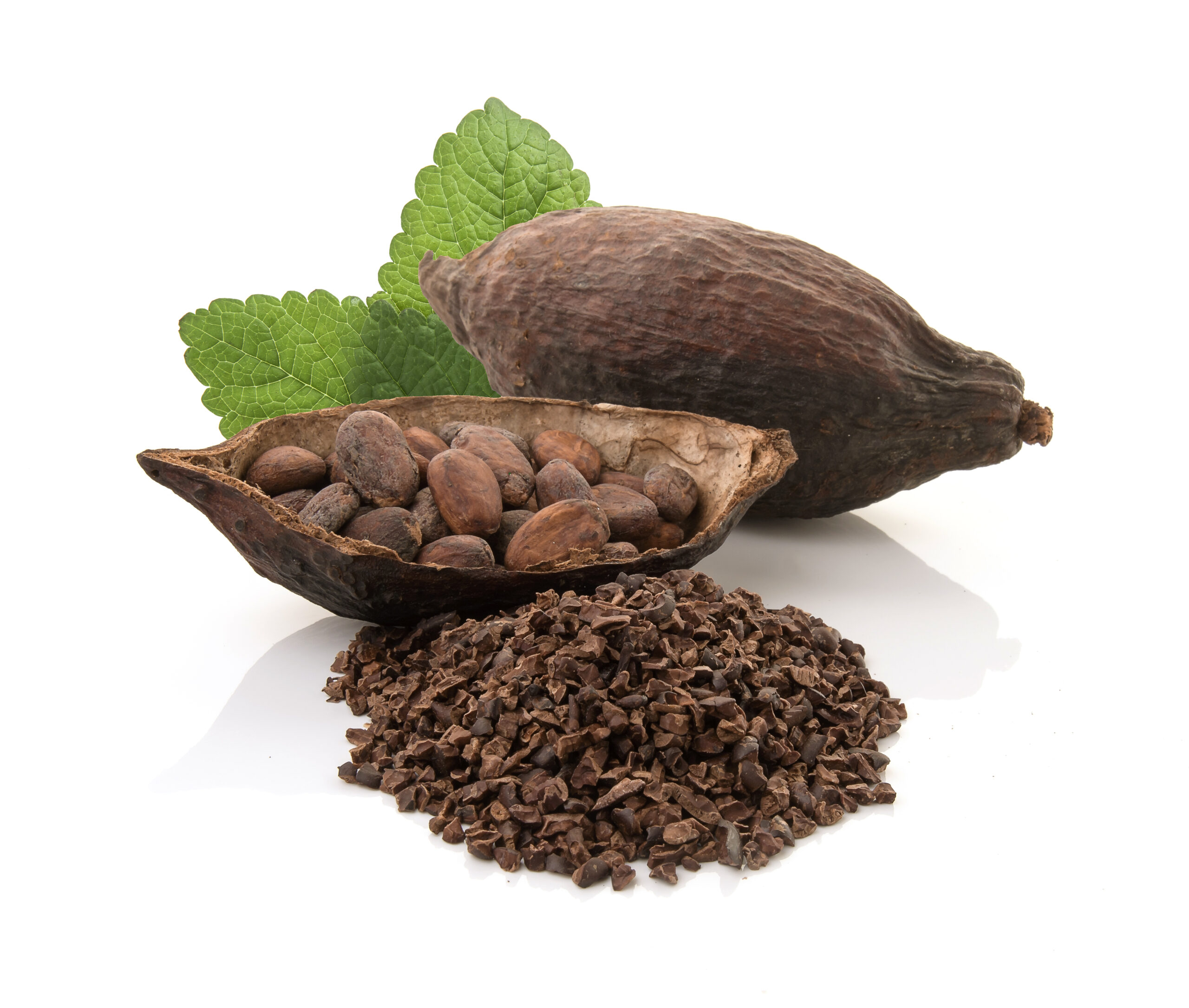 Cocoa pods and cocoa beans and cacao powder with leaves isolated on white background.